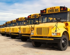 many school buses in a line