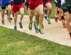 War Eagles Cross Country Get Fourth Place